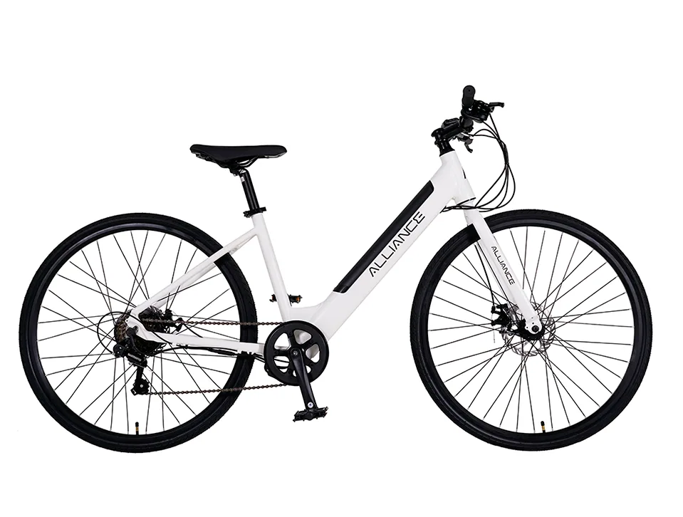 700C E-bike MTB
